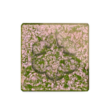 Lethal MAGNETIC Pressed Multichrome Eyeshadow Protoplanet