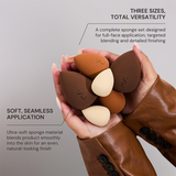 Spectrum Collections Pantherine 6 Piece Sponge Set