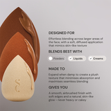 Spectrum Collections Pantherine 6 Piece Sponge Set